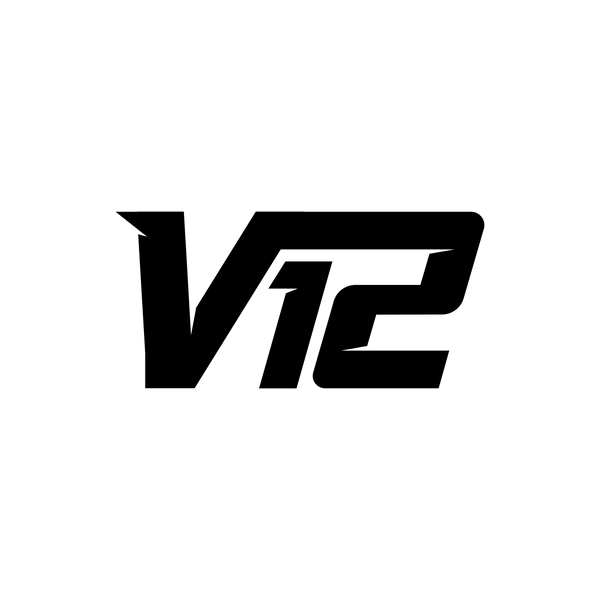 Vision 12